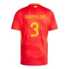 Original Fußballtrikot Spanien Alejandro Grimaldo 3 Heimtrikot EURO 2024 Für Herren